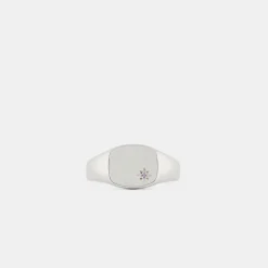 Silver Amethyst Birthstone Ring
