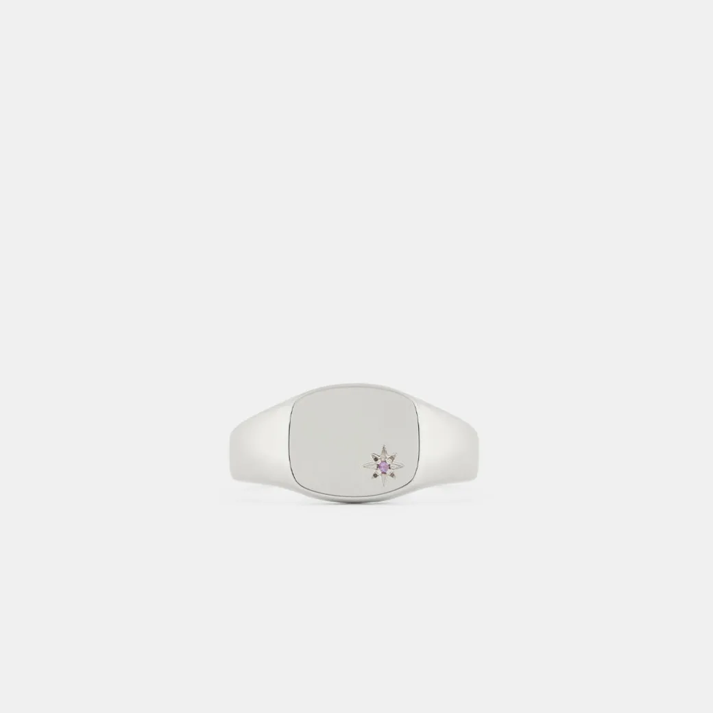 Silver Amethyst Birthstone Ring