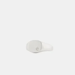 Silver Diamond Birthstone Ring