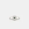 Silver Envy Signet Ring
