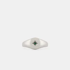 Silver Envy Signet Ring