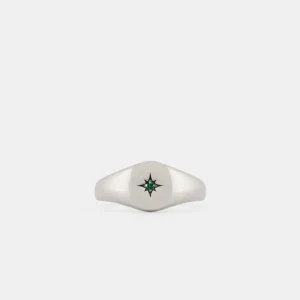 Silver Envy Signet Ring