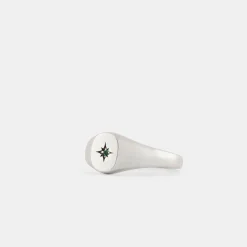 Silver Envy Signet Ring