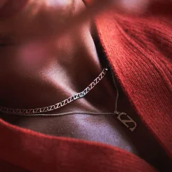 Silver Trademark Chain Link Necklace